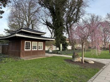Japanischer Garten (Bad Langensalza)